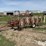 hesston-3981-image-1