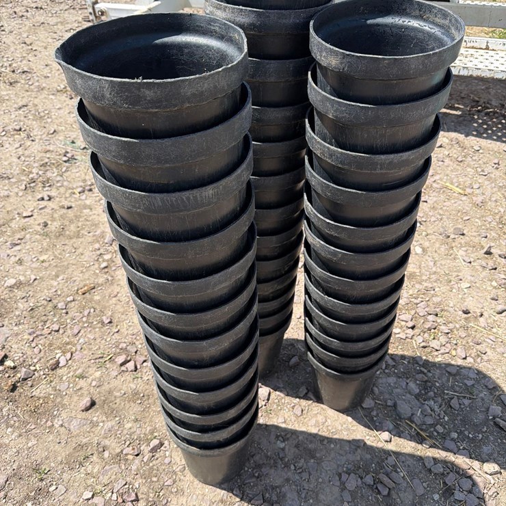 6 Quart Calf Buckets
