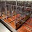 52-metal-calf-crates-image-31