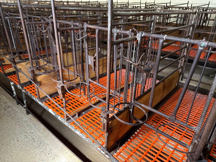 52-metal-calf-crates-image-31