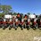 2014-case-ih-1225-image-6