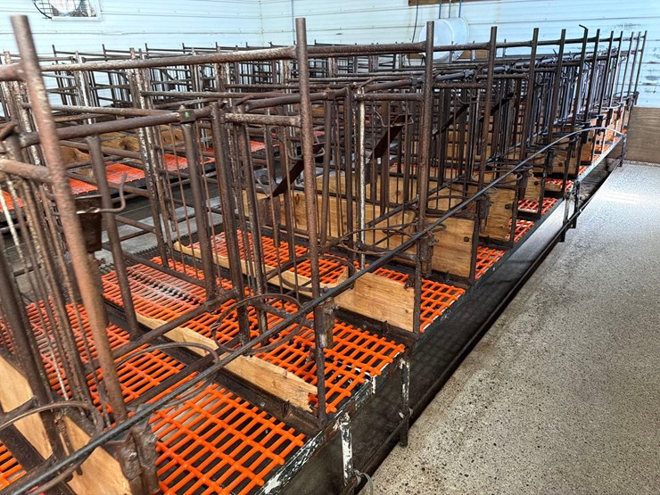52-metal-calf-crates-image-24