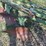 john-deere-f145h-image-10