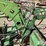 john-deere-148-image-11