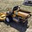 1998-walker-mtsd-image-7