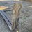 #3924-•-approx-48"-loader-forks-image-4