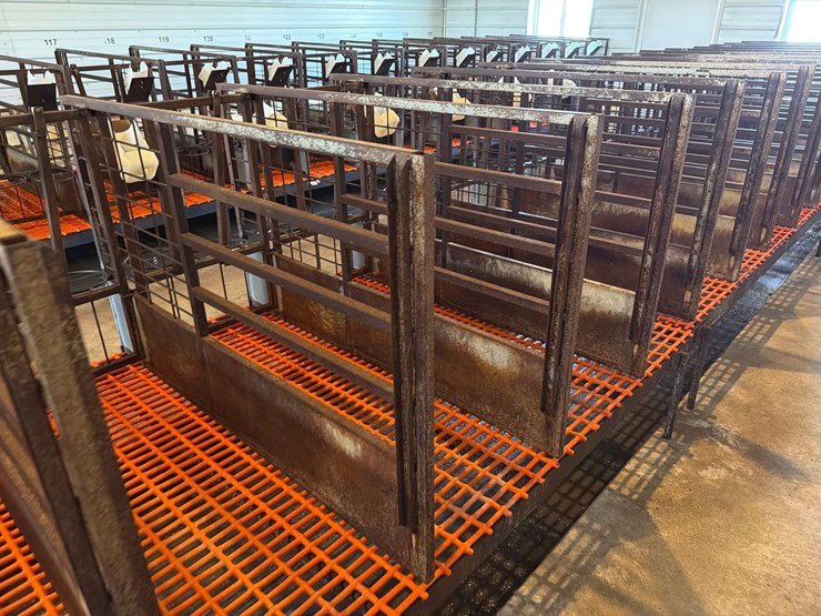 50-metal-calf-crates-image-23