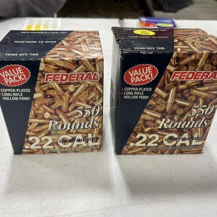 1100 Rounds Federal 22 LR Ammo