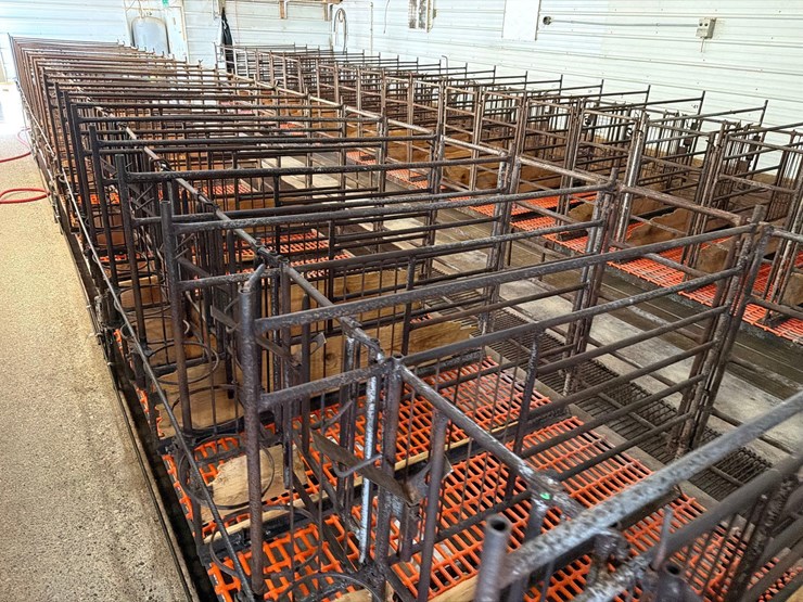 52-metal-calf-crates-image-32