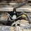 2001-mack-rd690s-image-49