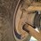 #24570-•-2001-chevrolet-silverado-pickup-truck-image-80