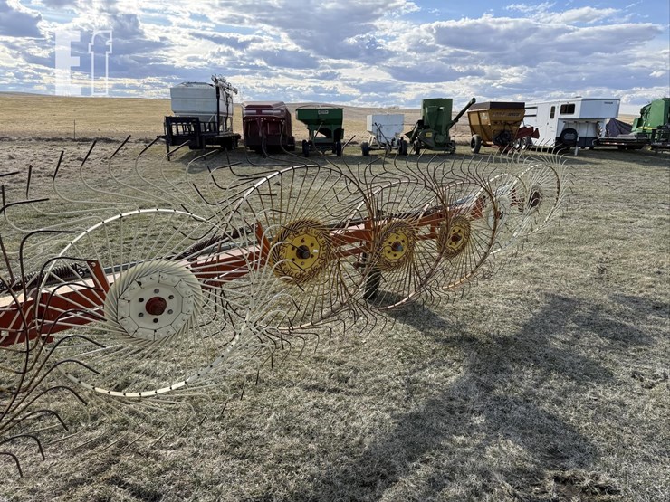 eurorake-9-wheel-rake-3380-image-2