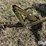 john-deere-r15-image-12