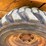 case-1840-image-7