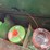 john-deere-24t-image-20