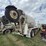 2001-mack-rd690s-image-4