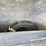 #24570-•-2001-chevrolet-silverado-pickup-truck-image-42
