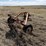rowse-dbl-9'-sickle-mower-3385-image-3