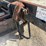 32ft-t/a-flatbed-tag-trailer-image-25