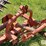 new-holland-450-image-11