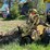 vermeer-m455-image-26