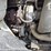 2014-international-prostar-image-17