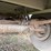 2008-wilson-livestock-trailer-image-82