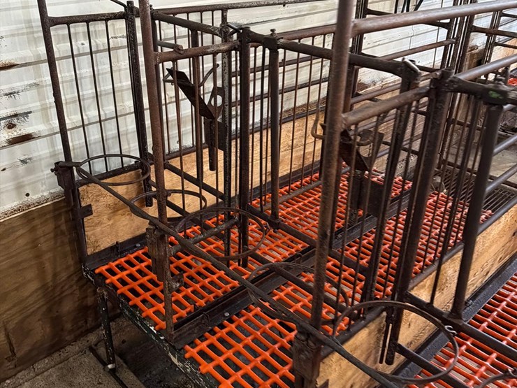 52-metal-calf-crates-image-17