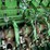 2016-john-deere-l340-image-33