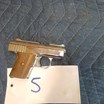 linnerud-family-gun-auction-image