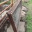 4-16ft-hog-gates-image-2