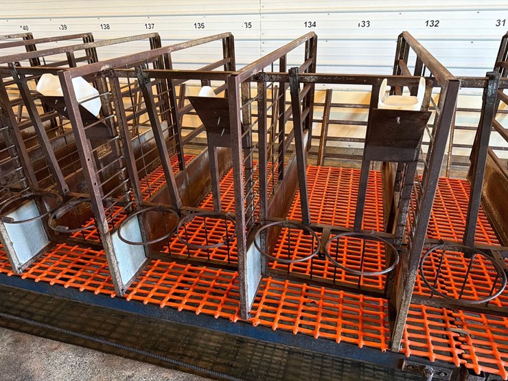 50-metal-calf-crates-image-3