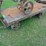 steel-wheel-industrial-dolly-image-1