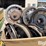 john-deere-7000-image-18