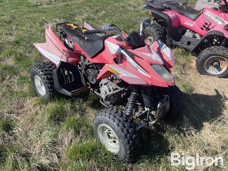 2006-arctic-cat-250-image-3