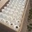 3-quart--50-calf-bottles-image-2