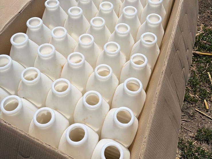 3-quart--50-calf-bottles-image-2