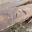 loading-ramps-image-19