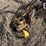 rowse-dbl-9'-sickle-mower-3385-image-9