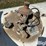 trinity-tank-image-16