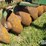 john-deere-12-image-17