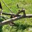 new-idea-40-image-13