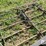 john-deere-2-image-10