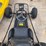 #9019-•-dingo-go-cart-(o3)-image-15