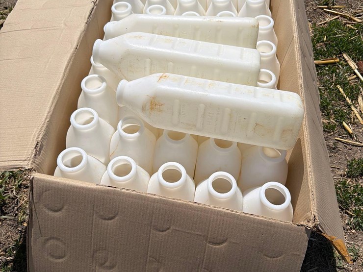 53--3-quart-calf-bottles-image-2