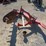 #24564-•-bush-hog-3-point-post-hole-auger-image-7