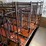 52-metal-calf-crates-image-28