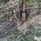 bush-hog-mbx96-image-11