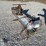 #22948-•-tailgate-salt-spreader-image-2