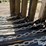 20'-freestanding-livestock-panels-image-16